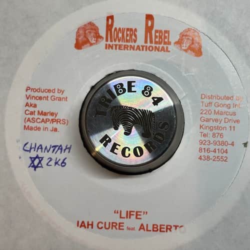 Jah Cure, Alborosie – Life