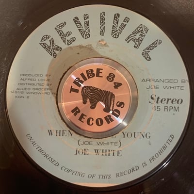Joe White - When You Are Youngpicture