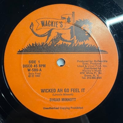 Sugar Minott, Horace Andy - Wicked Ah Go Feel It / Musical Episode picture 2