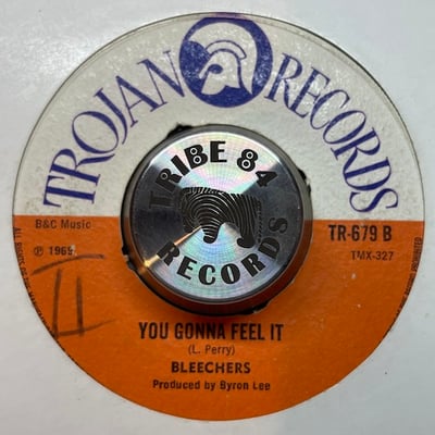 The Bleechers - Ease Up / You Gonna Feel It picture 2