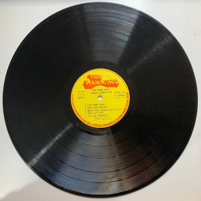 Israel Vibration - The Same Song picture 3