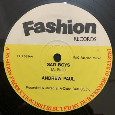 Andrew Paul - Hustle Them A Hustle picture 2