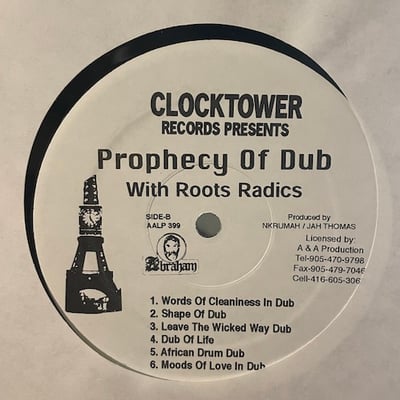 The Roots Radics - Prophecy Of Dub picture 3