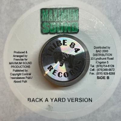 Lukie D, Junior Kelly - Back A Me Yard picture 2