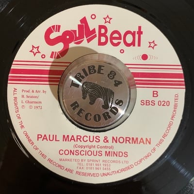 The Conscious Minds - Africa Is Paradise / Paul Marcus & Norman picture 2