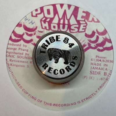 Barrington Levy - Come Home picture 2