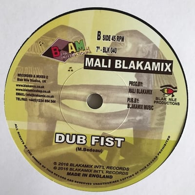 Mali Blakamix - Iron Fist picture 2