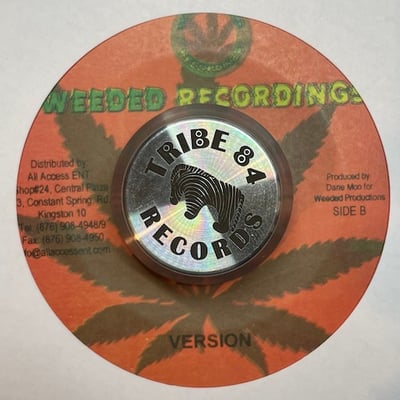 Richie Spice - Coming Home picture 2