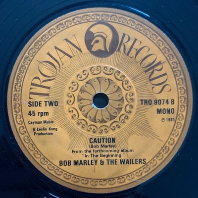 Bob Marley & The Wailers - Soul Shakedown Party picture 3