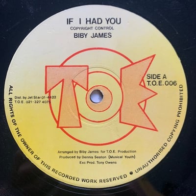 Biby James - If I Had You picture 3