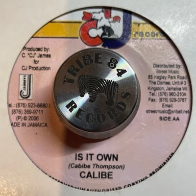 Leroy Smart, Lady Saw, Calibe - Without Love / Is It Own picture 2