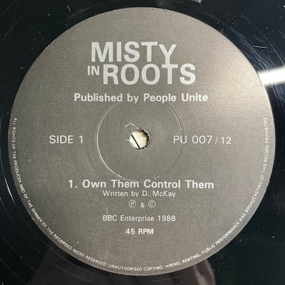 Misty In Roots - Own Them Control Them picture 4