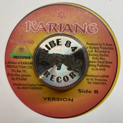 Sizzla - Healing Of The Nation picture 2
