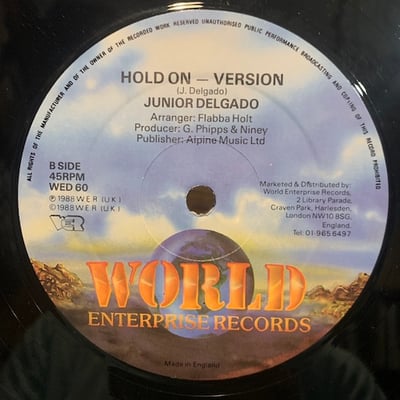 Junior Delgado - Hold On picture 2