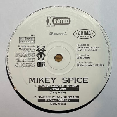 Mikey Spice - Practice What You Preach picture 2