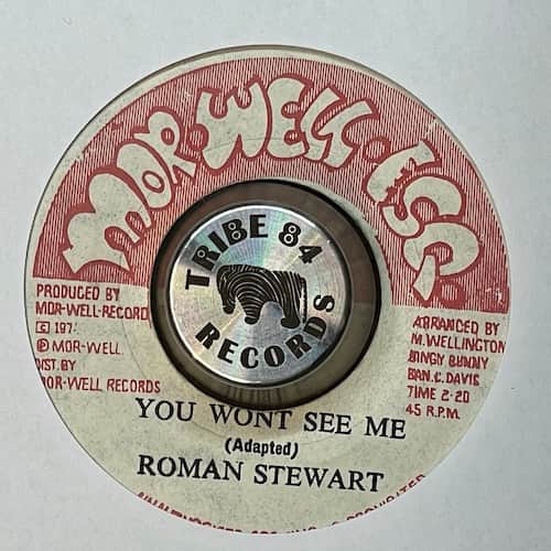 Roman Stewart – You Wont See Me