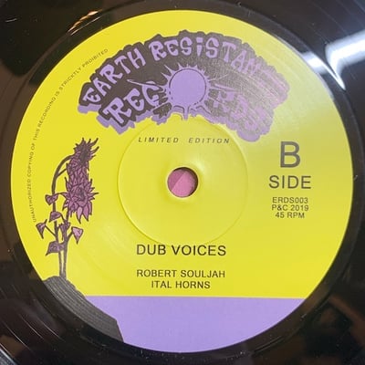Nish Wadada, Robert Souljah, Ital Horns - Voice Of The Poor / Dub Voices picture 4