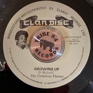 The Fabulous Flames – Growing Up