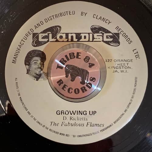 The Fabulous Flames – Growing Up