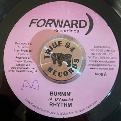 Kymani Marley, Alborosie - Burnin' & Lootin' picture 2