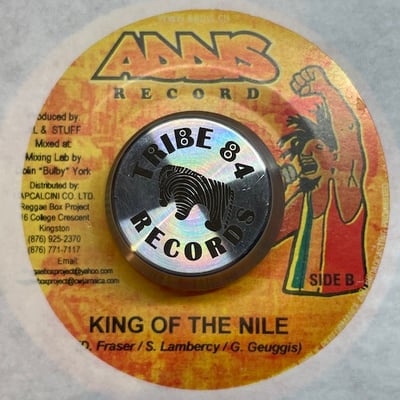Lutan Fyah - Losing Themself picture 2