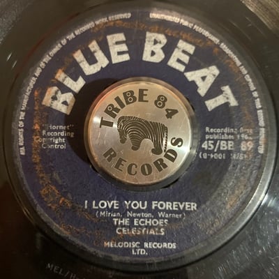 The Echoes, The Celestials - Are You Mine / I Love You Forever picture 2