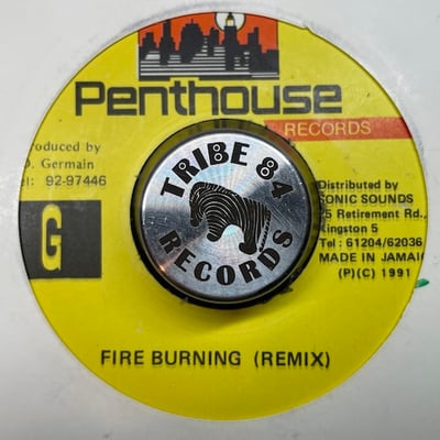 Marcia Griffiths - Fire Burning picture 2