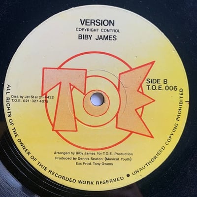 Biby James - If I Had You picture 4