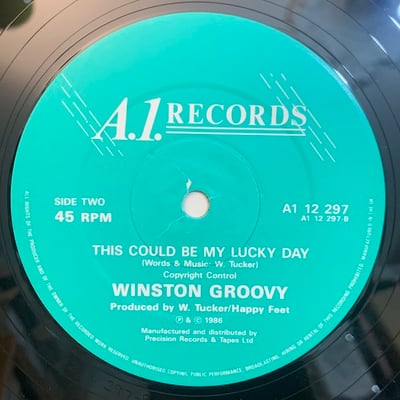 Winston Groovy - Blanket On The Ground picture 4
