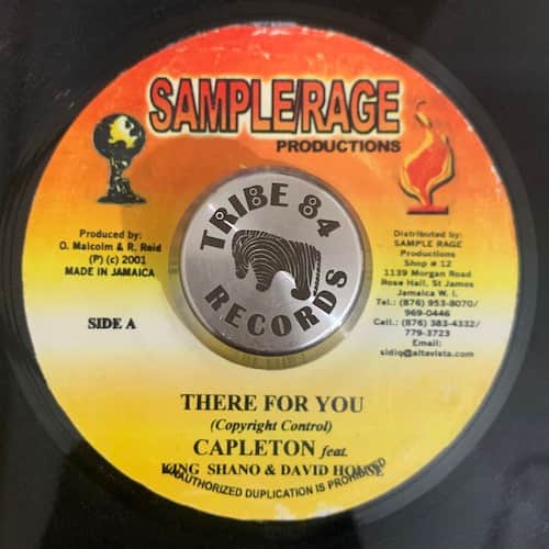 Capleton, king shano, David House – There For You
