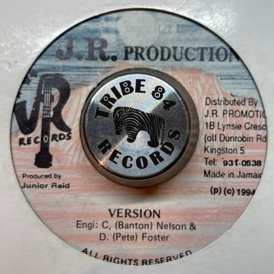 Junior Reid, Terry Ganzie - One Blood (Remix) picture 2