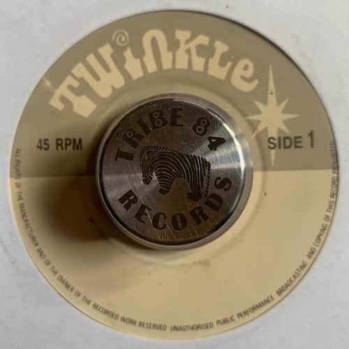 Twinkle Brothers – Rasta Pon Top