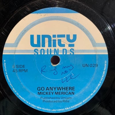 Mikey Merican - Ride The Rhythm / Go Anywhere picture 2