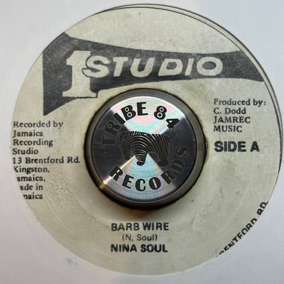 Nina Soul - Barb Wirepicture