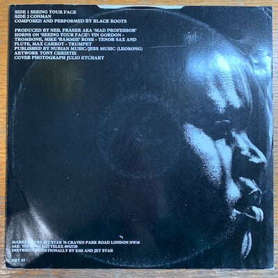 Black Roots - Seeing Your Face picture 2