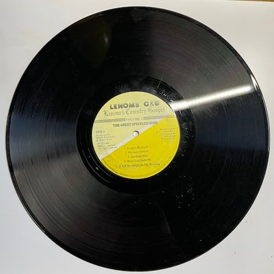 Lenom's Country Gospel - The Great Speckled Bird - Volume 2 picture 4