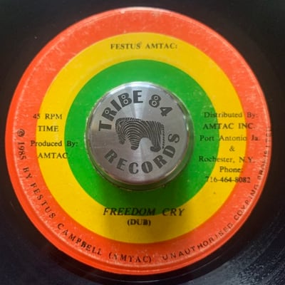Ira Zimbabwe Williams - Freedom Cry picture 2