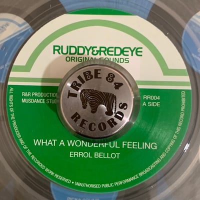 Errol Bellot - What A Wonderful Feeling picture 2