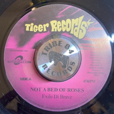 Exile Di Brave - Not A Bed Of Roses picture 4