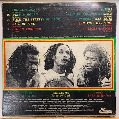 Israel Vibration - The Same Song picture 2