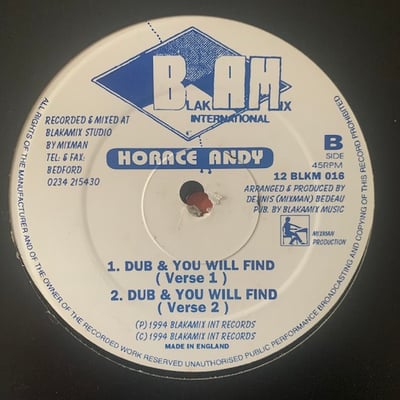 Horace Andy - Seek & You Will Find picture 2