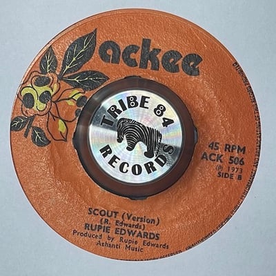 Bingy Bunny, Bongo Les - International Scout picture 2