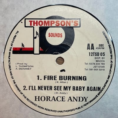 Glen Ricks, Horace Andy - Take A Love Song / Fire Burning picture 2