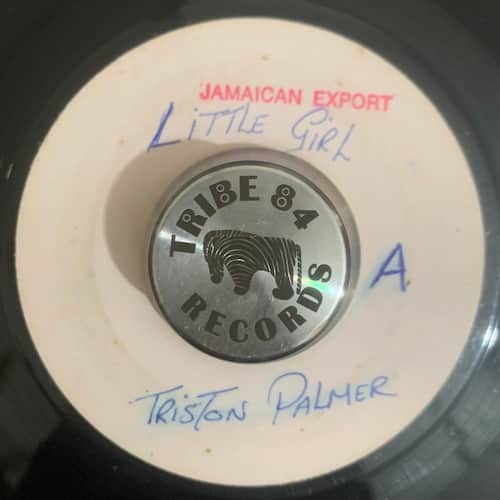 Tristan Palmer – Roaming Girl / Roaming Girl Version