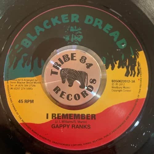 Gappy Ranks, Frankie Paul, Top Cat – I Remember / Healing Of The Nation