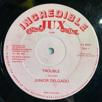 Junior Delgado - Trouble picture 2