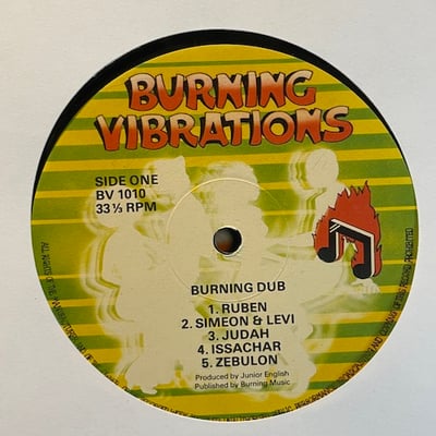 The Revolutionaries - Burning Dub picture 4