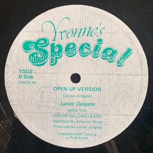 Junior Delgado – Open The Door To Your Heart