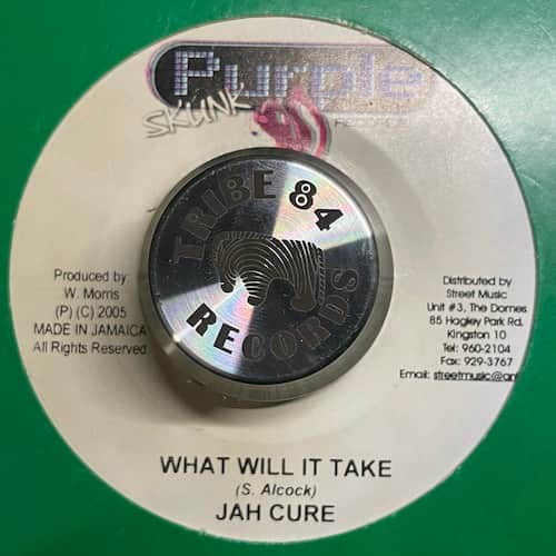 Jah Cure – What Will It Take