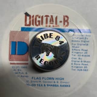 Cocoa Tea, Shabba Ranks – Flag Flown High